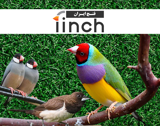 مشاغل پر سود